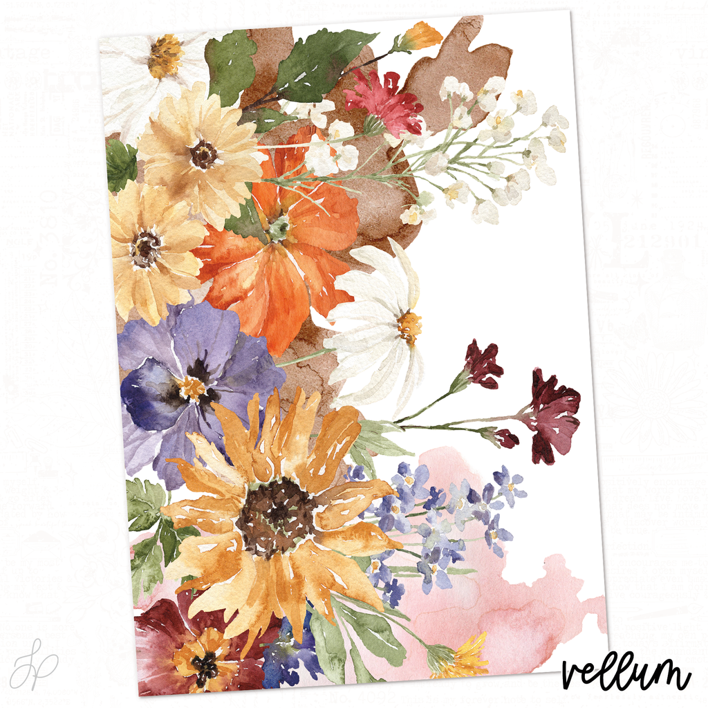 Anne Collection | Vellum 1