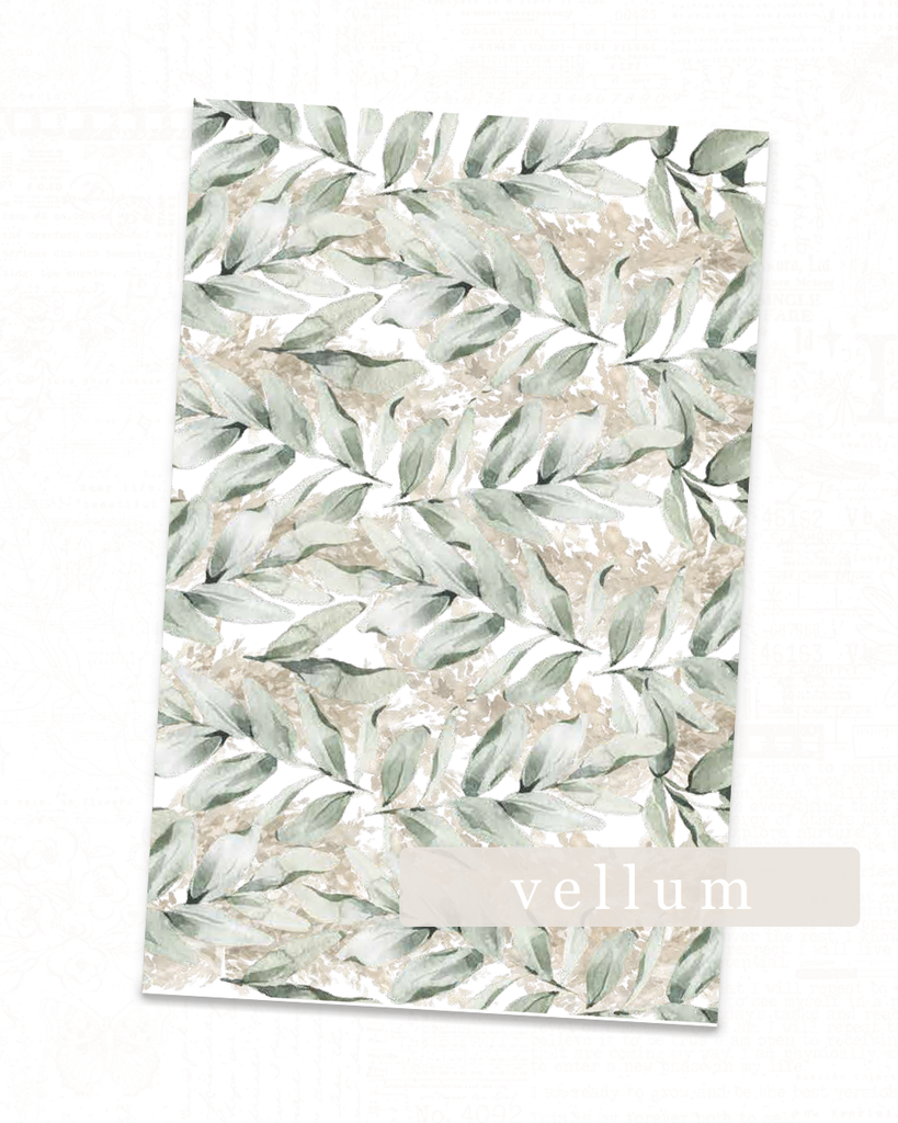 Perennial Collection | Vellum Foliage