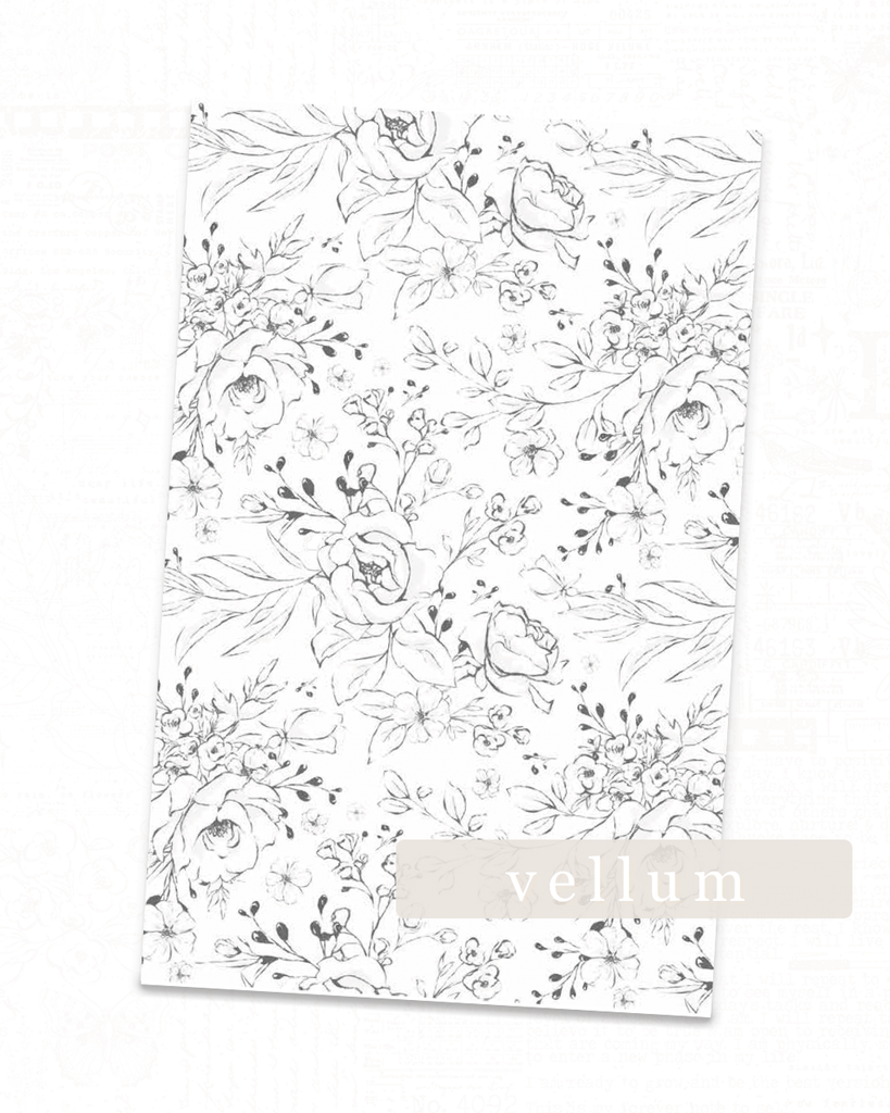 Floral Bloom Collection | Blooms