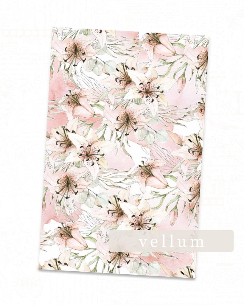 Lily Collection | Vellum Lily