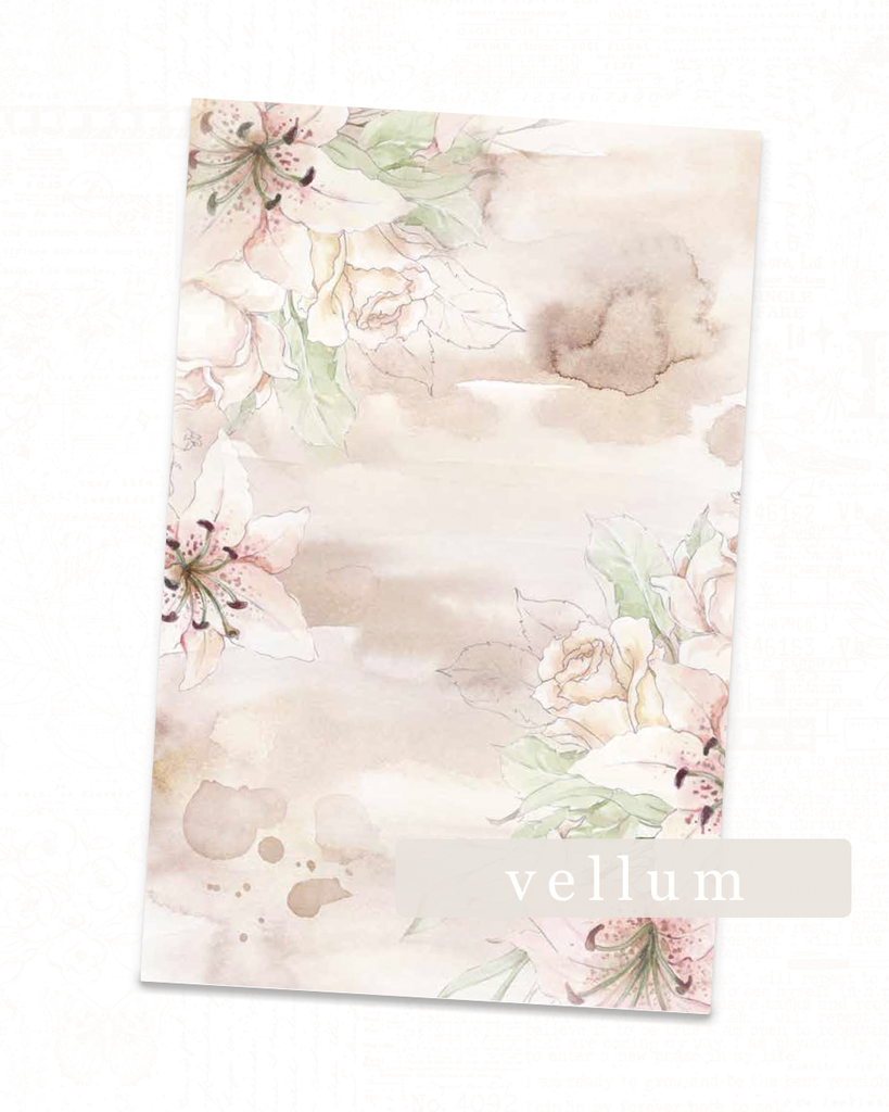 Lily Collection | Frame