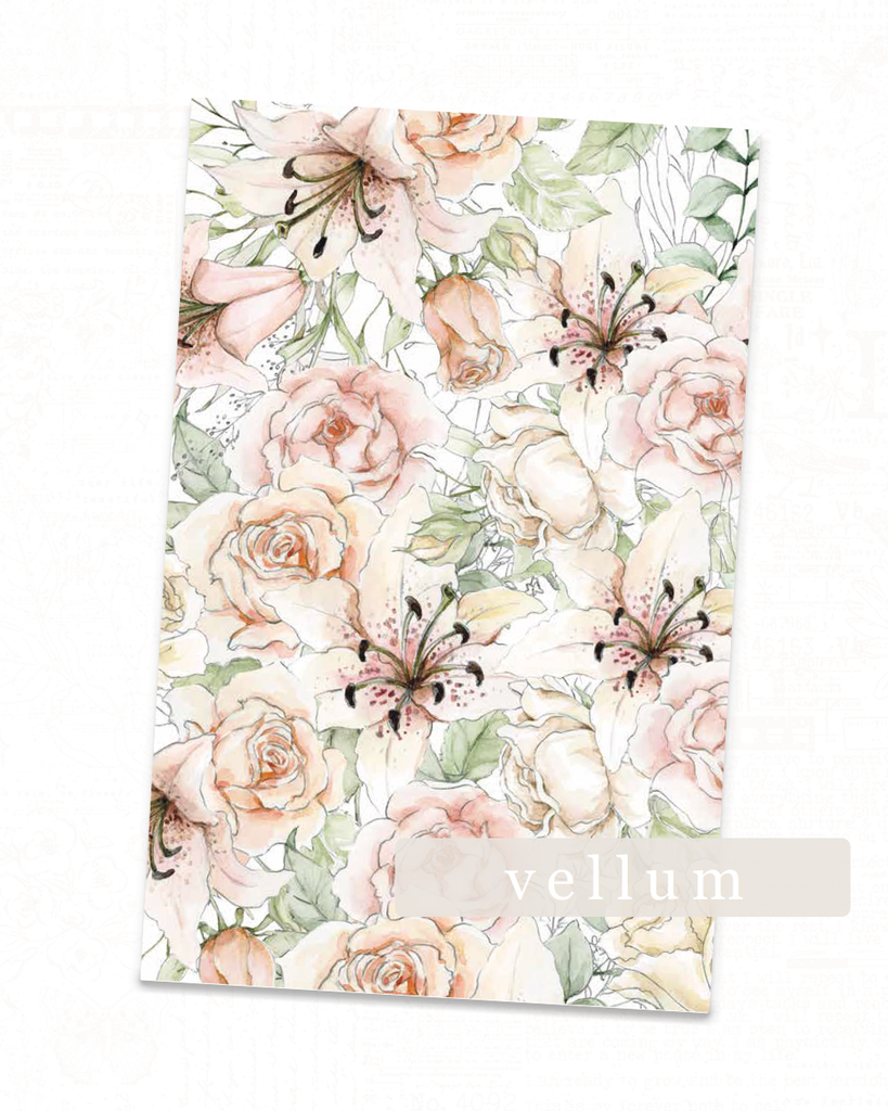 Lily Collection | Vellum Peach Rose