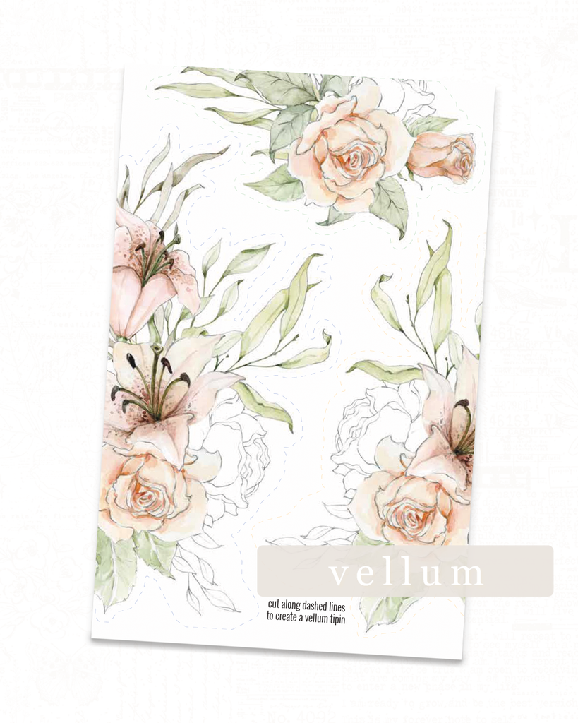 Lily Collection | Vellum TipIn's