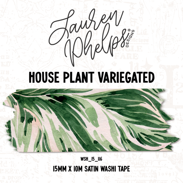 House Plant Washi Bundle