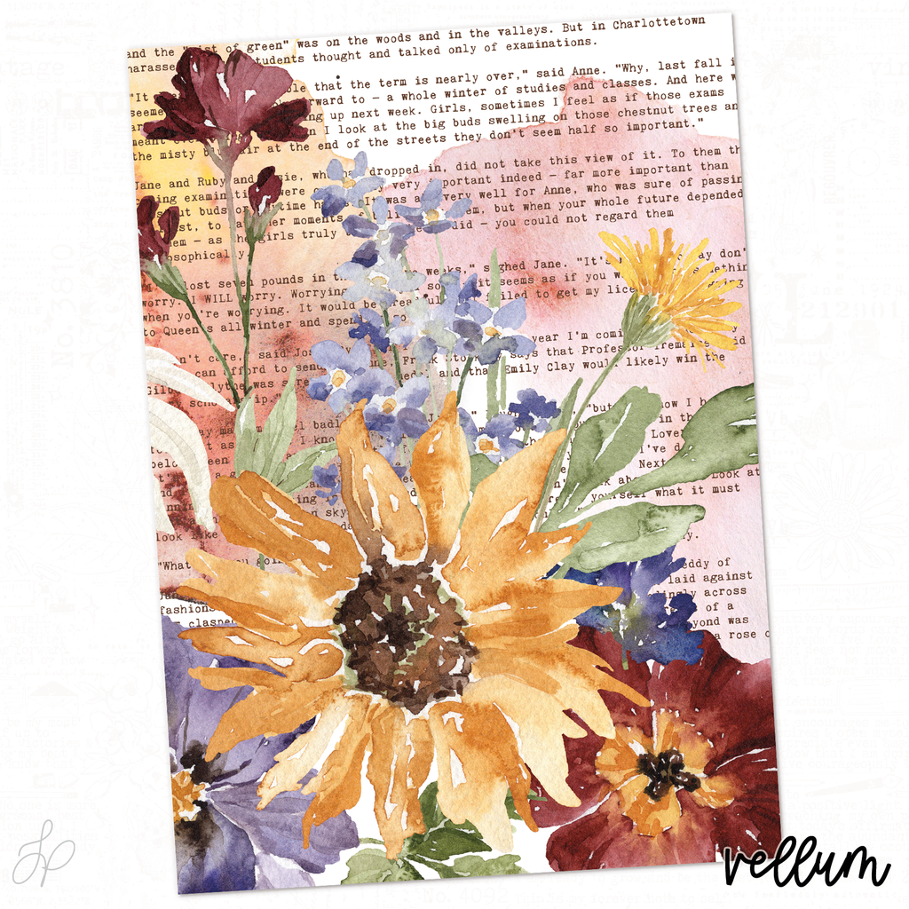 Anne Collection | Vellum 3
