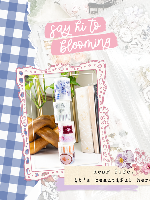 11th Anniversary Box | Limited Release