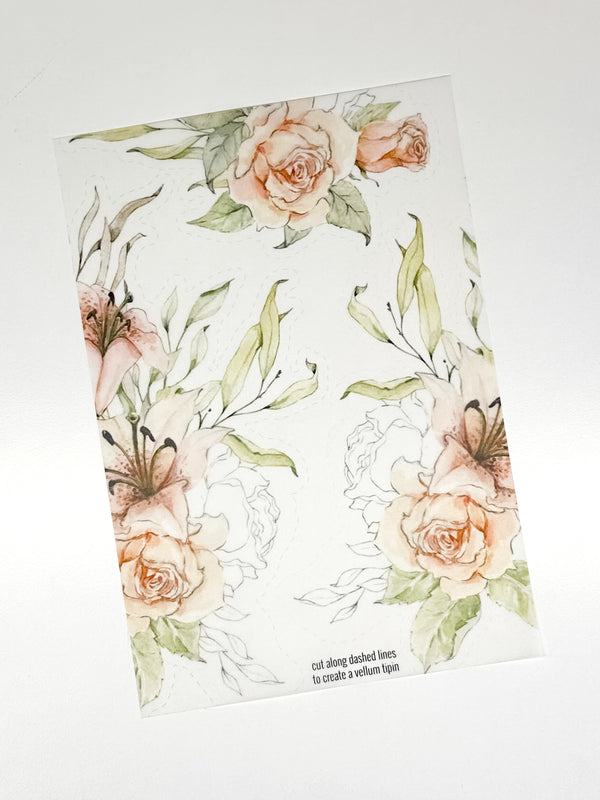 Lily Collection | Vellum TipIn's