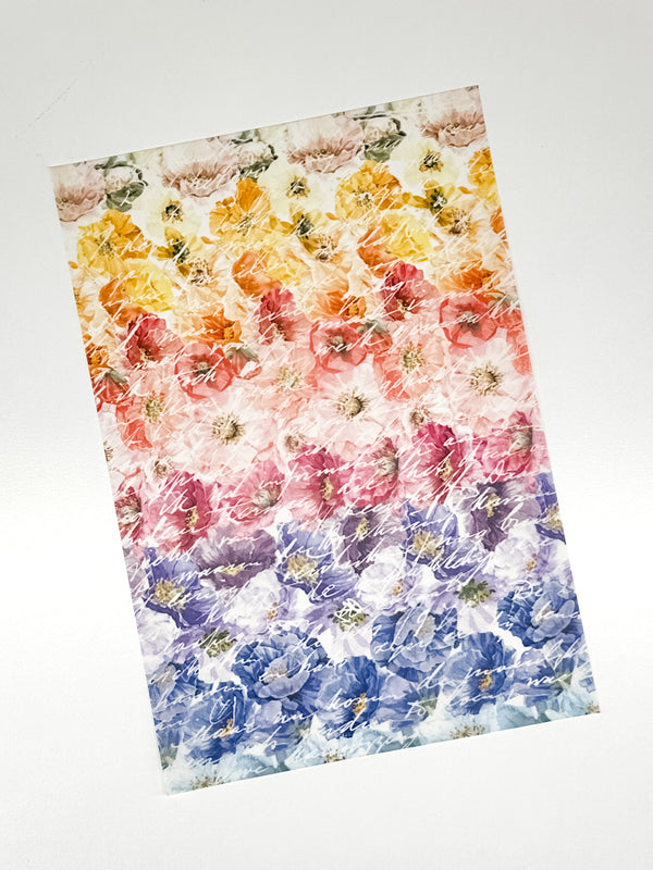 Perennial Collection | Vellum Rainbow Florals