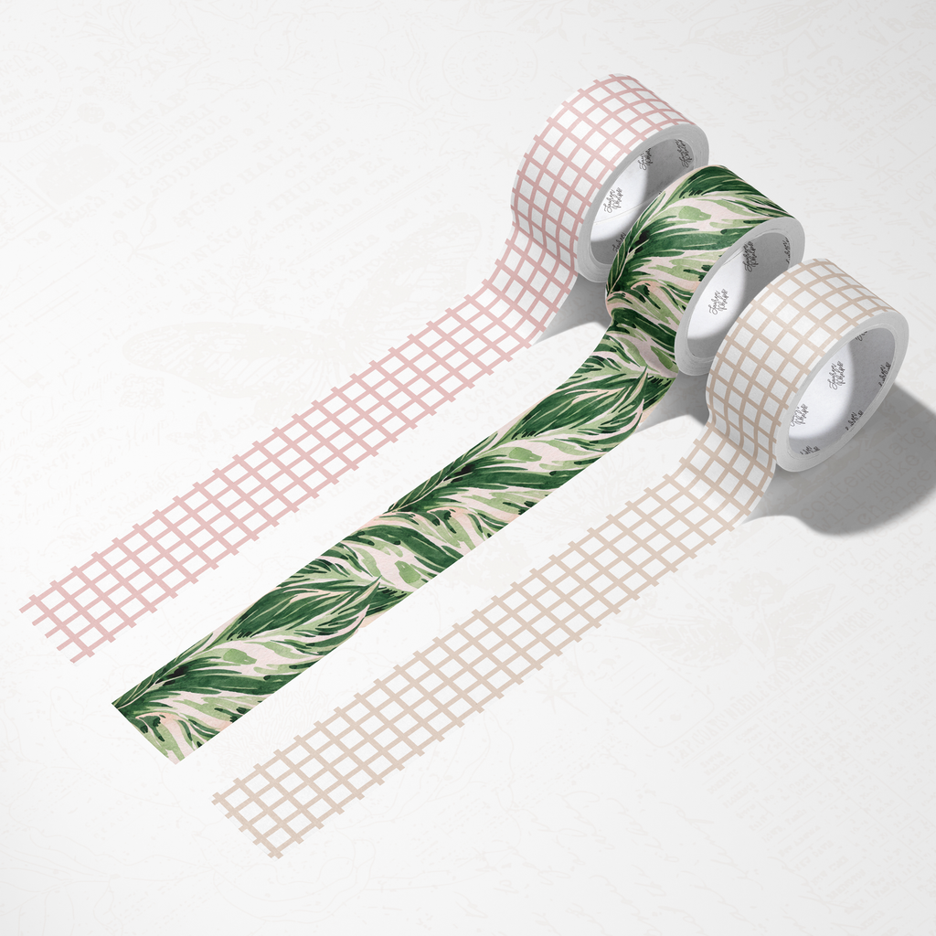 House Plant Washi Bundle